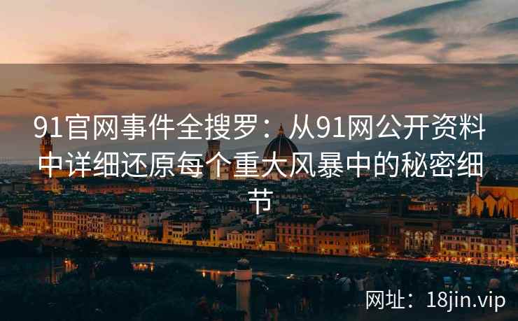 91官网事件全搜罗：从91网公开资料中详细还原每个重大风暴中的秘密细节  第1张