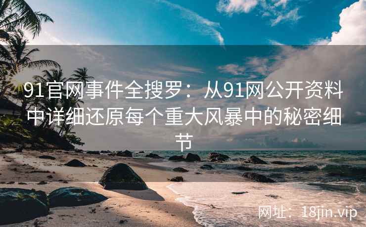 91官网事件全搜罗：从91网公开资料中详细还原每个重大风暴中的秘密细节  第2张
