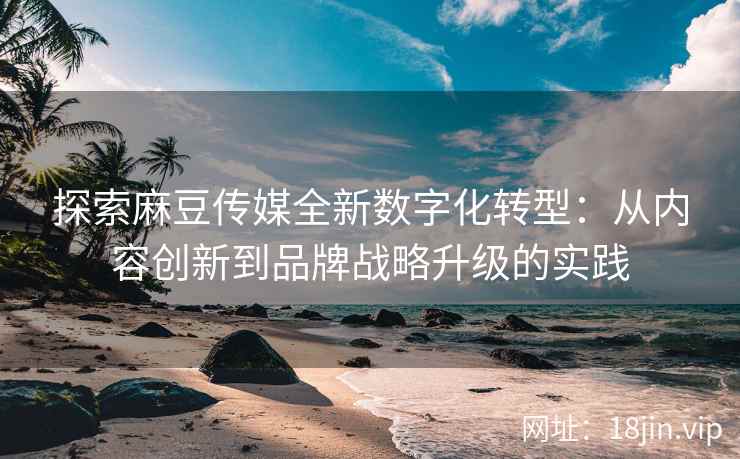 探索麻豆传媒全新数字化转型：从内容创新到品牌战略升级的实践  第2张