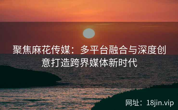 聚焦麻花传媒：多平台融合与深度创意打造跨界媒体新时代  第2张