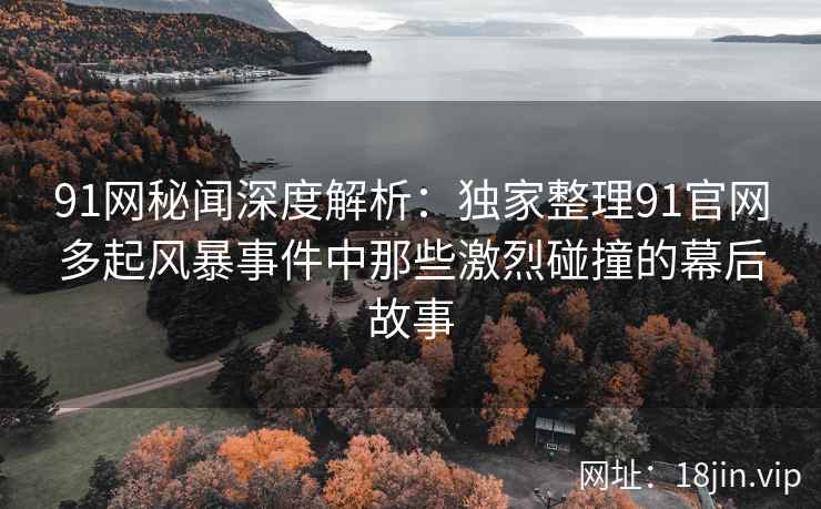 91网秘闻深度解析：独家整理91官网多起风暴事件中那些激烈碰撞的幕后故事  第2张