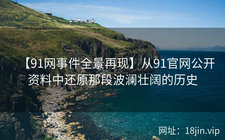 【91网事件全景再现】从91官网公开资料中还原那段波澜壮阔的历史  第1张